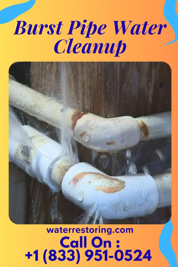 Burst Pipe Water Cleanup in Sarahsville, OH