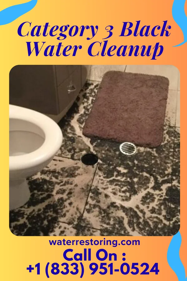 Category 3 Black Water Cleanup in Sarahsville, OH