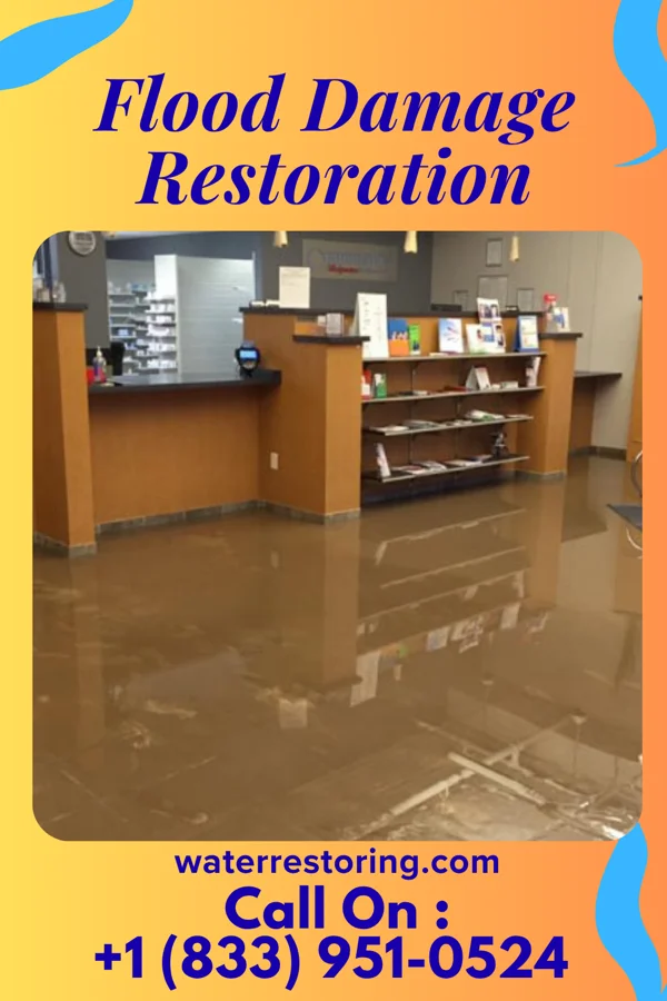 Flood Damage Restoration in Sarahsville, OH
