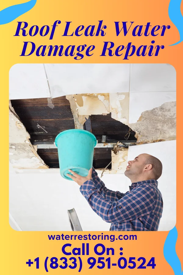 Roof Leak Water Damage Repair in Sarahsville, OH