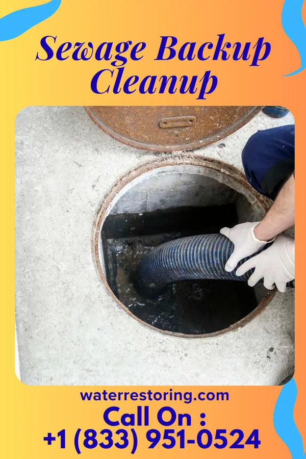 Sewage Backup Cleanup in Sarahsville, OH